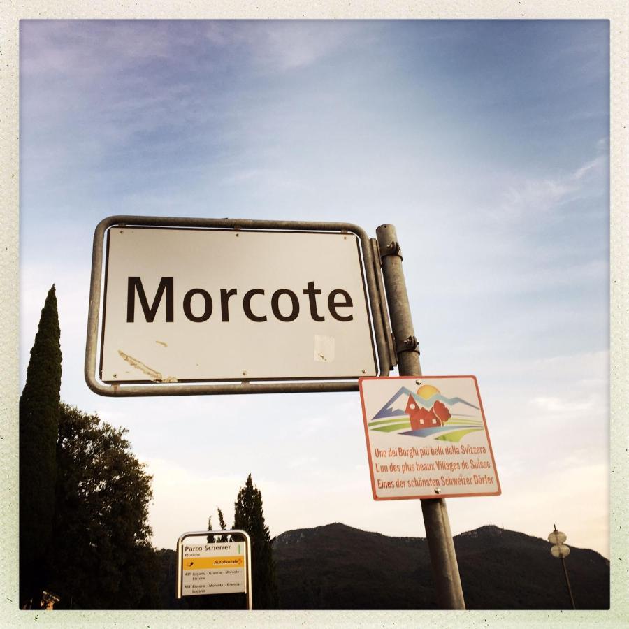 Bellissimo Con Giardino Sul Di Lugano * Morcote
